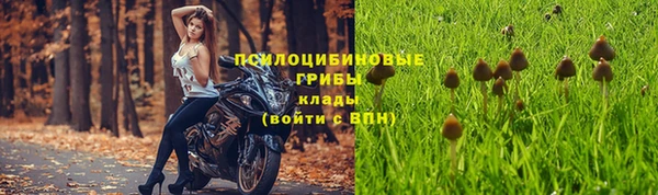 кокс Алзамай