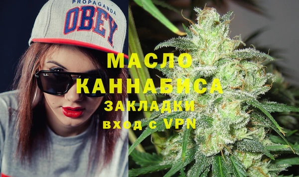 мет Алексин