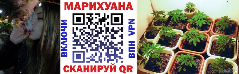 Бошки марихуана гибрид  Сосновка 